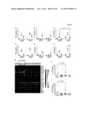 MARKERS FOR DETERMINATION OF PATIENT RESPONSIVENESS diagram and image