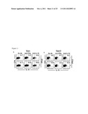 MARKERS FOR DETERMINATION OF PATIENT RESPONSIVENESS diagram and image