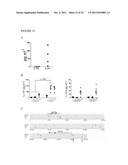 MARKERS FOR DETERMINATION OF PATIENT RESPONSIVENESS diagram and image