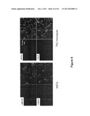 SOMATIC CELL-DERIVED PLURIPOTENT CELLS AND METHODS OF USE THEREFOR diagram and image