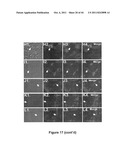 SOMATIC CELL-DERIVED PLURIPOTENT CELLS AND METHODS OF USE THEREFOR diagram and image