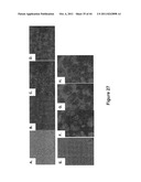 SOMATIC CELL-DERIVED PLURIPOTENT CELLS AND METHODS OF USE THEREFOR diagram and image