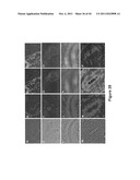 SOMATIC CELL-DERIVED PLURIPOTENT CELLS AND METHODS OF USE THEREFOR diagram and image