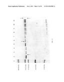 Compositions and Methods for Treating Collagen-Mediated Diseases diagram and image