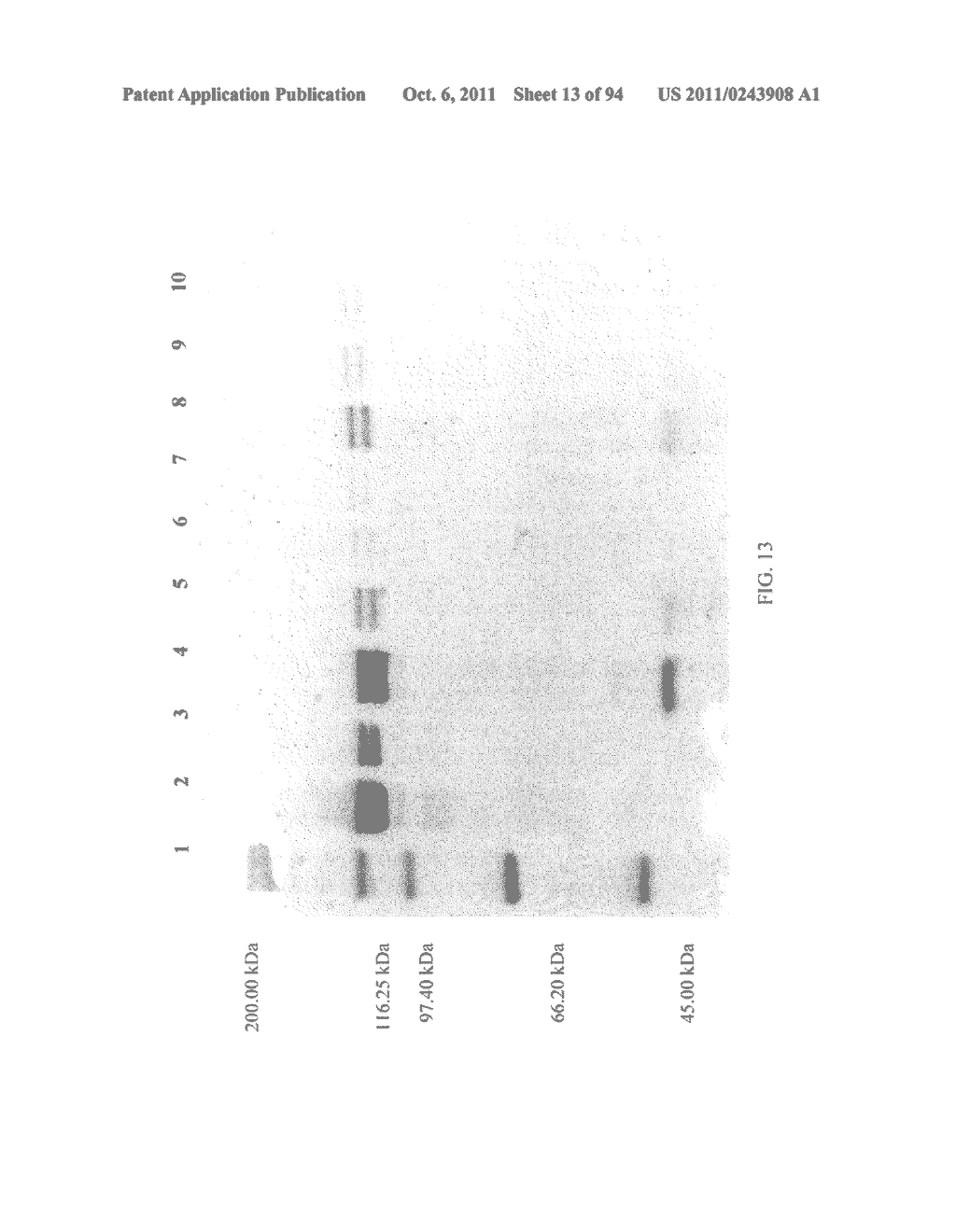 Compositions and Methods for Treating Collagen-Mediated Diseases - diagram, schematic, and image 14