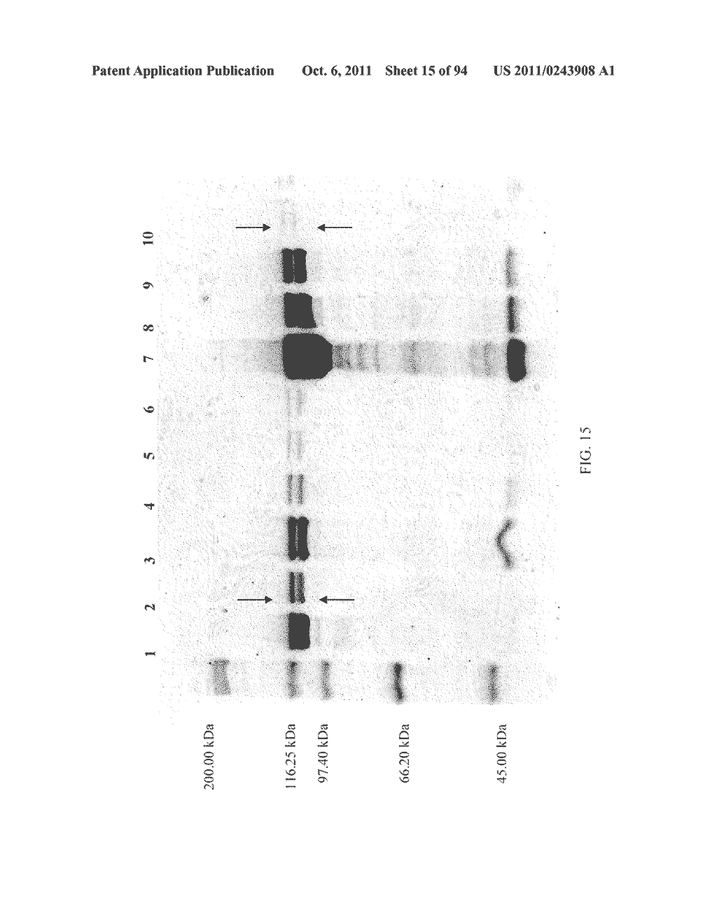 Compositions and Methods for Treating Collagen-Mediated Diseases - diagram, schematic, and image 16