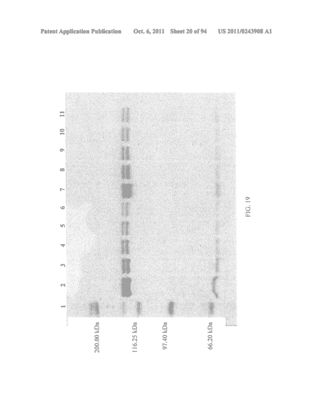 Compositions and Methods for Treating Collagen-Mediated Diseases - diagram, schematic, and image 21