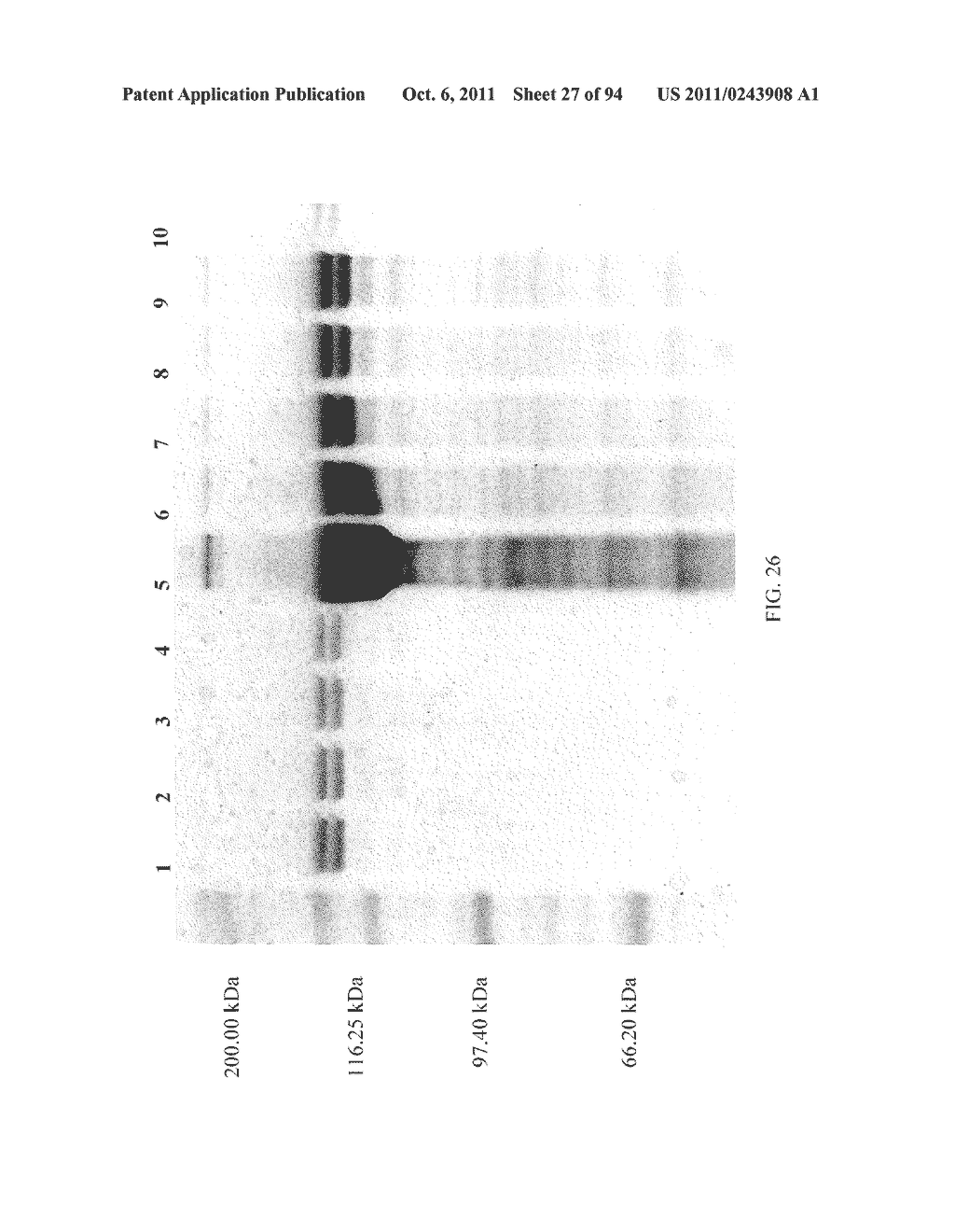 Compositions and Methods for Treating Collagen-Mediated Diseases - diagram, schematic, and image 28