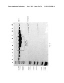 Compositions and Methods for Treating Collagen-Mediated Diseases diagram and image