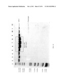 Compositions and Methods for Treating Collagen-Mediated Diseases diagram and image