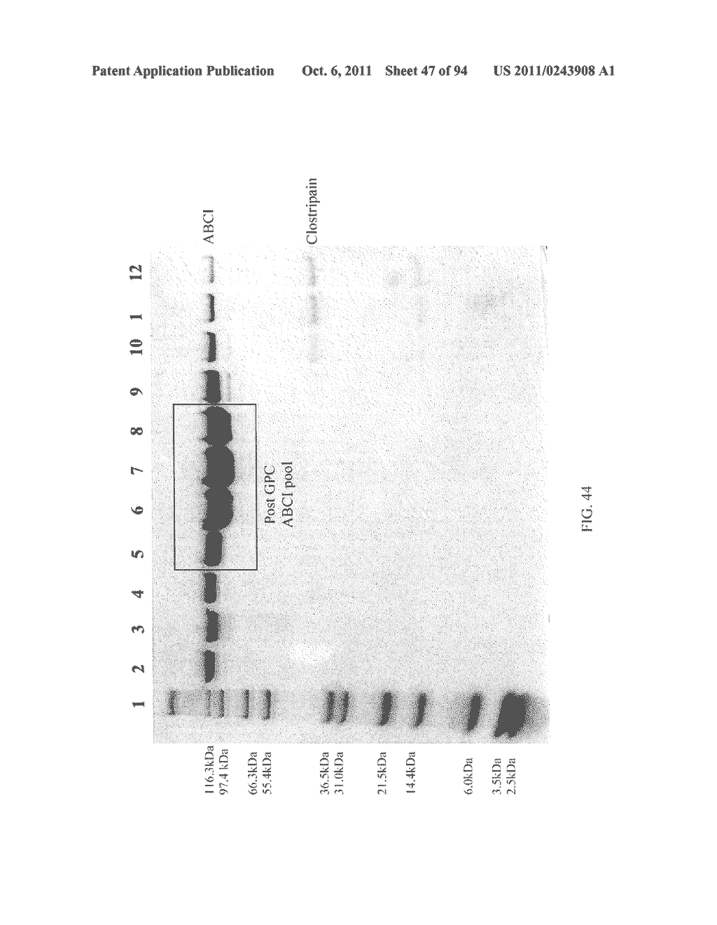 Compositions and Methods for Treating Collagen-Mediated Diseases - diagram, schematic, and image 48