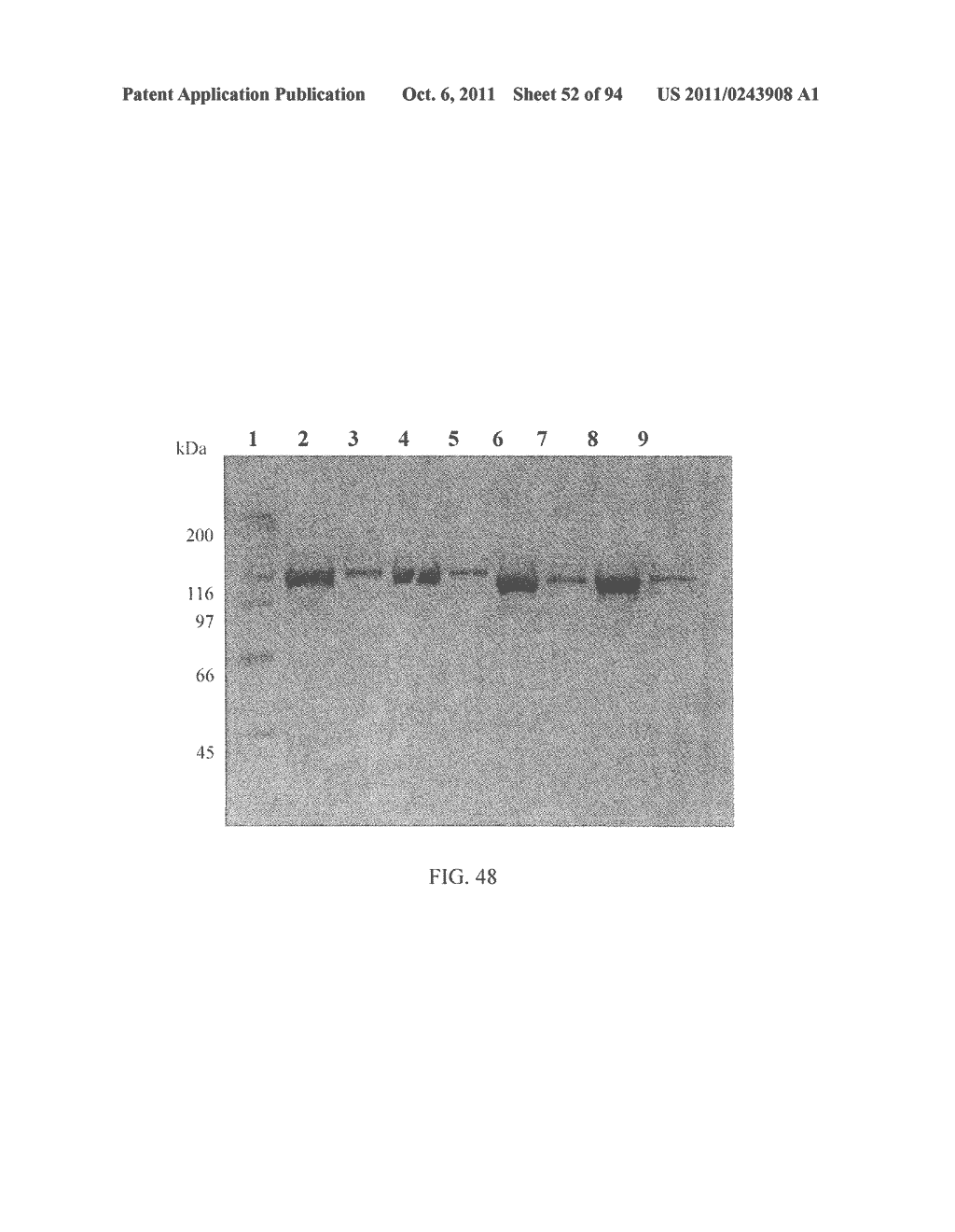 Compositions and Methods for Treating Collagen-Mediated Diseases - diagram, schematic, and image 53