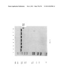 Compositions and Methods for Treating Collagen-Mediated Diseases diagram and image