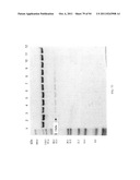 Compositions and Methods for Treating Collagen-Mediated Diseases diagram and image