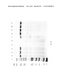 Compositions and Methods for Treating Collagen-Mediated Diseases diagram and image