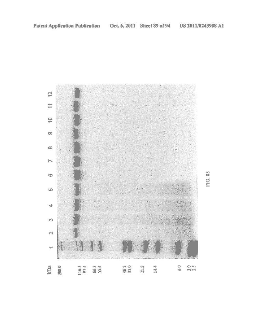 Compositions and Methods for Treating Collagen-Mediated Diseases - diagram, schematic, and image 90