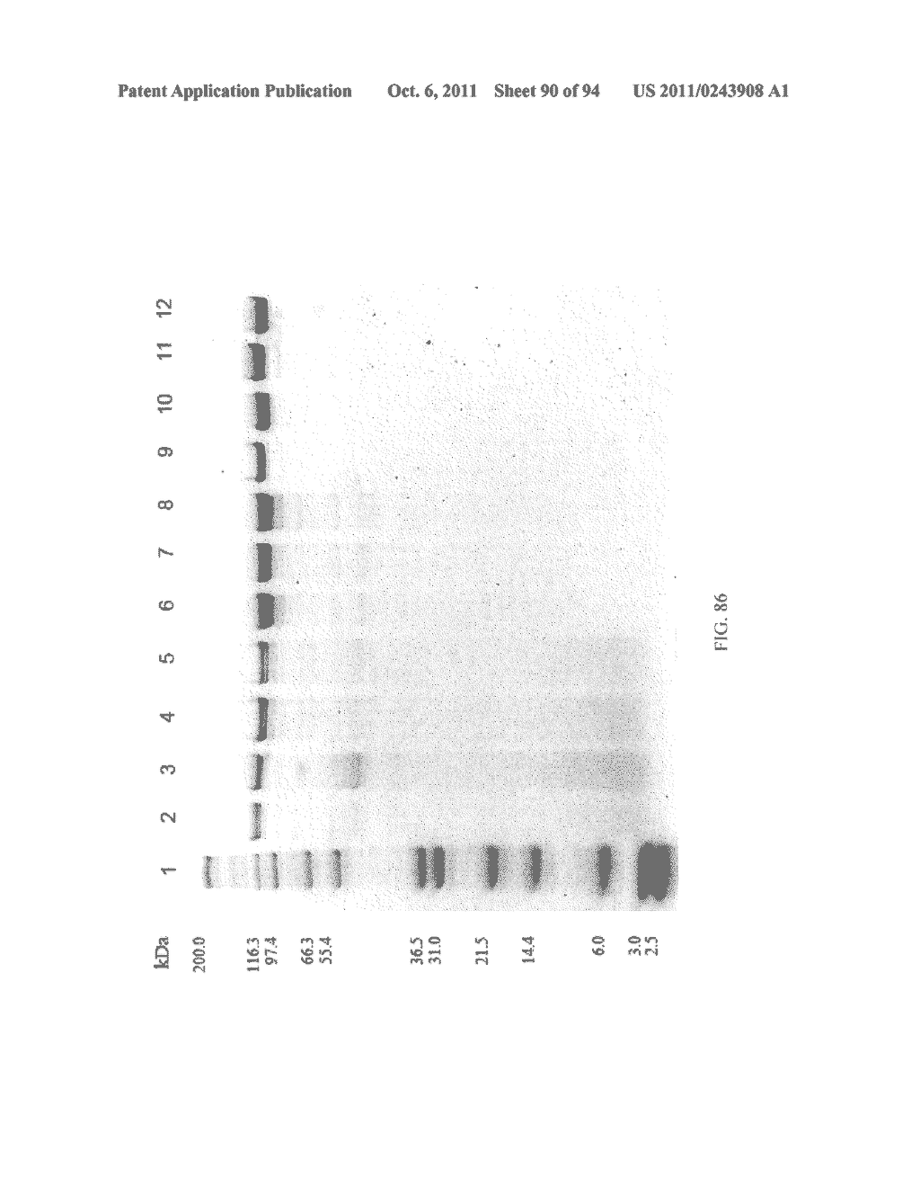 Compositions and Methods for Treating Collagen-Mediated Diseases - diagram, schematic, and image 91