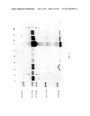 Compositions and Methods for Treating Collagen-Mediated Diseases diagram and image