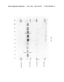 Compositions and Methods for Treating Collagen-Mediated Diseases diagram and image