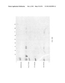 Compositions and Methods for Treating Collagen-Mediated Diseases diagram and image