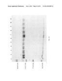 Compositions and Methods for Treating Collagen-Mediated Diseases diagram and image