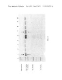 Compositions and Methods for Treating Collagen-Mediated Diseases diagram and image