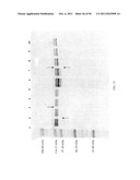 Compositions and Methods for Treating Collagen-Mediated Diseases diagram and image