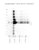 Compositions and Methods for Treating Collagen-Mediated Diseases diagram and image