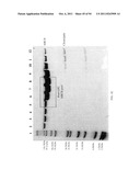 Compositions and Methods for Treating Collagen-Mediated Diseases diagram and image