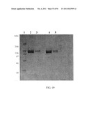 Compositions and Methods for Treating Collagen-Mediated Diseases diagram and image