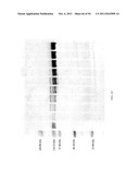 Compositions and Methods for Treating Collagen-Mediated Diseases diagram and image