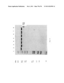 Compositions and Methods for Treating Collagen-Mediated Diseases diagram and image