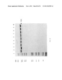 Compositions and Methods for Treating Collagen-Mediated Diseases diagram and image