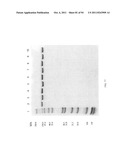 Compositions and Methods for Treating Collagen-Mediated Diseases diagram and image