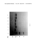 Compositions and Methods for Treating Collagen-Mediated Diseases diagram and image