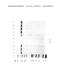 Compositions and Methods for Treating Collagen-Mediated Diseases diagram and image