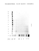 Compositions and Methods for Treating Collagen-Mediated Diseases diagram and image