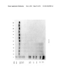 Compositions and Methods for Treating Collagen-Mediated Diseases diagram and image