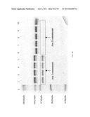 Compositions and Methods for Treating Collagen-Mediated Diseases diagram and image