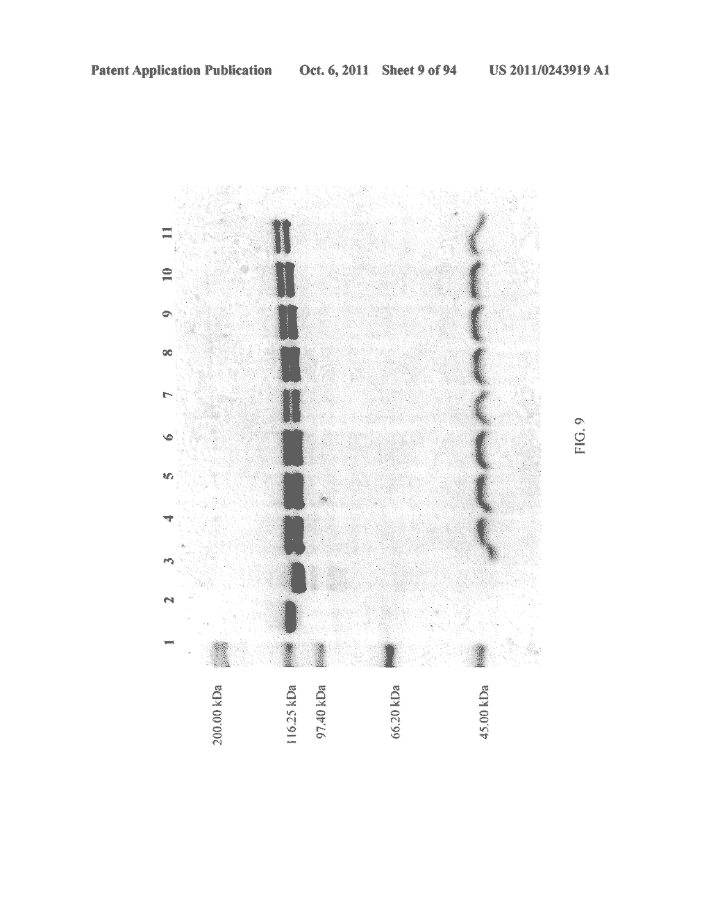 Compositions and Methods for Treating Collagen-Mediated Diseases - diagram, schematic, and image 10