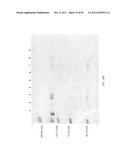 Compositions and Methods for Treating Collagen-Mediated Diseases diagram and image