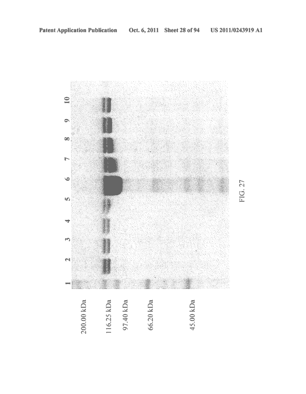 Compositions and Methods for Treating Collagen-Mediated Diseases - diagram, schematic, and image 29