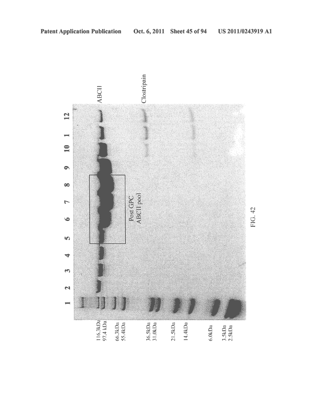 Compositions and Methods for Treating Collagen-Mediated Diseases - diagram, schematic, and image 46