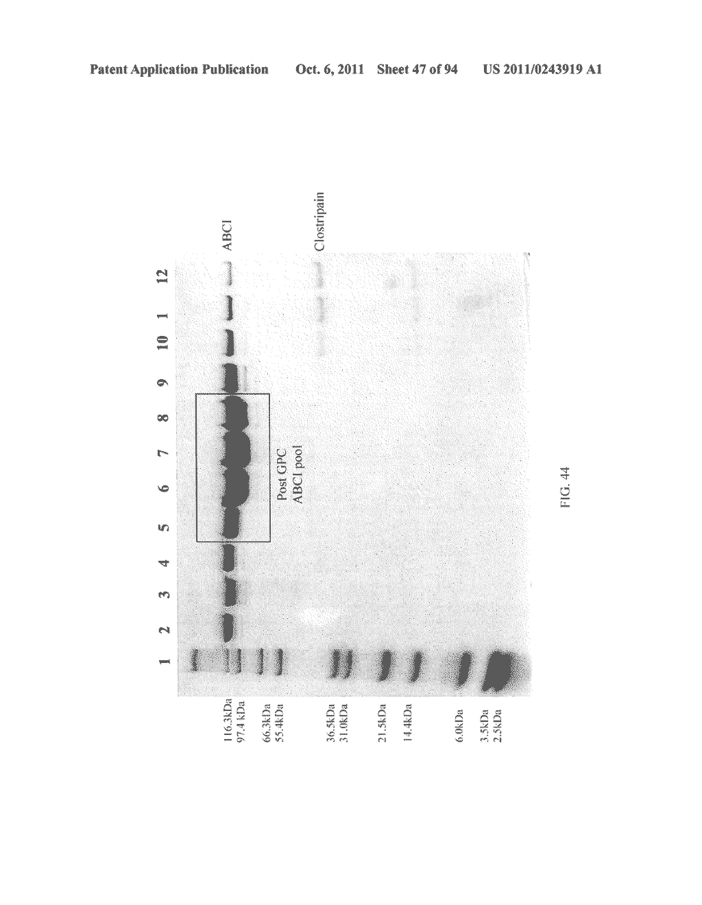 Compositions and Methods for Treating Collagen-Mediated Diseases - diagram, schematic, and image 48