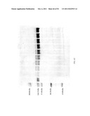 Compositions and Methods for Treating Collagen-Mediated Diseases diagram and image