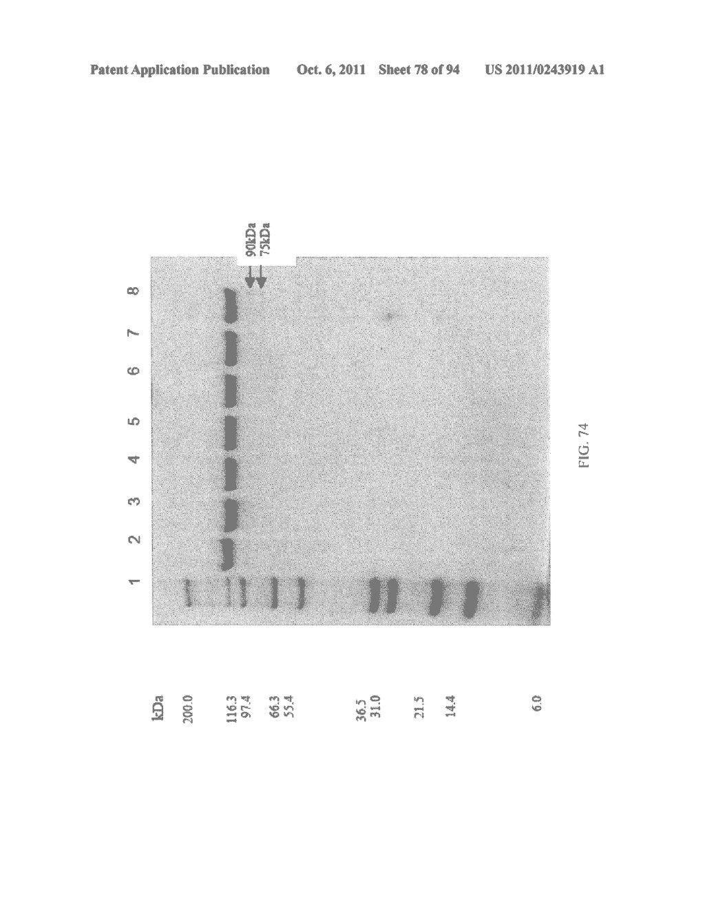 Compositions and Methods for Treating Collagen-Mediated Diseases - diagram, schematic, and image 79