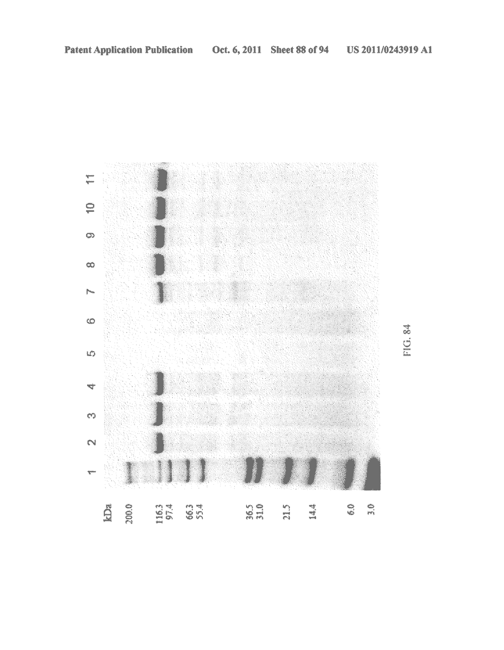 Compositions and Methods for Treating Collagen-Mediated Diseases - diagram, schematic, and image 89