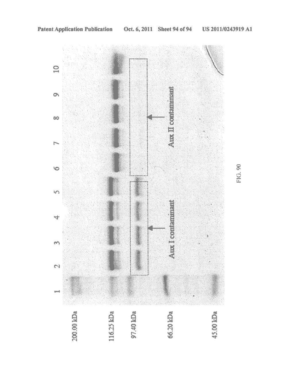 Compositions and Methods for Treating Collagen-Mediated Diseases - diagram, schematic, and image 95