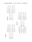 TREATMENT USING RELAXIN-FUSION PROTEINS WITH EXTENDED IN VIVO HALF-LIVES diagram and image