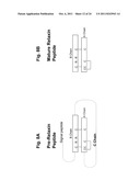 TREATMENT USING RELAXIN-FUSION PROTEINS WITH EXTENDED IN VIVO HALF-LIVES diagram and image